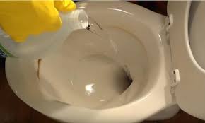 remove hard water stains from toilet