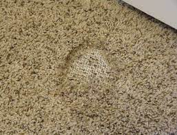 It is best to cut a piece of cardboard out a little bigger than the burn to use as a cutting template. How To Fix A Carpet Burn Caused By An Iron Easy Diy Repair