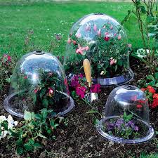 an a to z on cloches for your garden