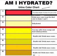 Am I Hydrated Urine Color Chart Eprempun 02 Yum Dogg The