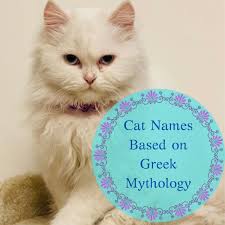 From wikipedia, the free encyclopedia. 15 Cat Names Based On Greek Mythology From Aphrodite To Zeus Pethelpful By Fellow Animal Lovers And Experts