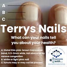 terrys nails