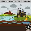 Harmful Effects of Plastic Waste