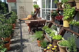 Balcony Gardening Is This Green Trend