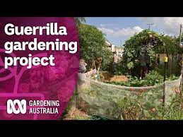 a guerrilla gardening group growing