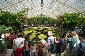 kew gardens and kew palace admission