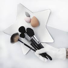 5 teilig professionelles makeup pinsel set