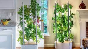 Indoor Vertical Hybriponic Garden