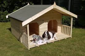 Duplex Dog House Home Design Garden