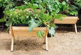 Planter Boxes For Growing Vegetables