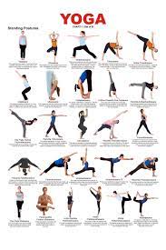 types of asanas in yoga international