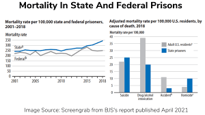 mortality in state federal prisons 4