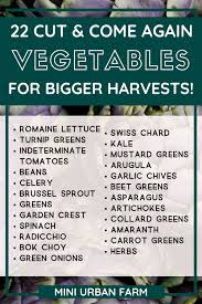 Vegetables You Need To Grow