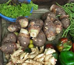 Image result for vegetable khmer