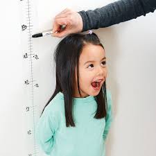 Measure Me Height Chart Wall Sticker