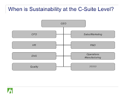 Org Structure Sustainability Amr 20090212