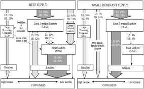 Mapping Of Beef Sheep And Goat Food Systems In Nairobi A