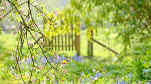 top gardening tips for spring weather