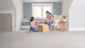 is carpet cleaning safe for my family
