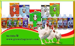 Broiler Poultry Medicine Schedule Chart Poultry Medicine