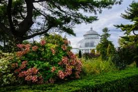 Made a trip out to the new york botanical garden on one of the hottest days of the year. The New York Botanical Garden In The Bronx