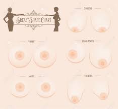 Breast Shape Chart With Beautiful Women Silhouette
