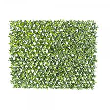 expandable plant trellis green