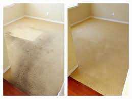 baylight carpet cleaning reviews