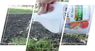 Another pantry staple, salt is a powerful ingredient in the war against unwanted vegetation while still being a weed killer safe for pets. Diy Weed Killers That Work Ecogardener