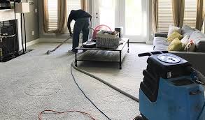 tulip carpet cleaning potomac