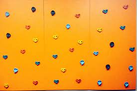 Outdoor Or Indoor Climbing Wall 4 X8