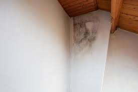 preventing mold on bedroom walls