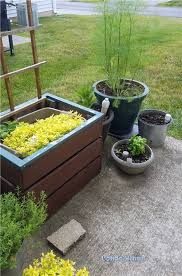 Self Watering Patio Vegetable Garden Tour