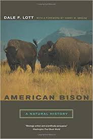American Bison A Natural History Organisms And