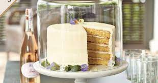 Cake Dome Cake Plates 3 Layer Cakes
