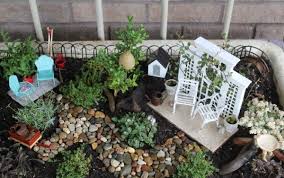 Miniature Garden Designed By You 20