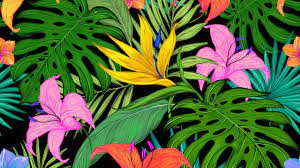 100 aesthetic tropical wallpapers