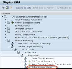 How To Create Chart Of Accounts In Sap