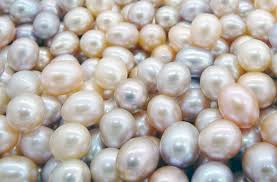Pearl Guide Learn About Pearls Jersey Pearl