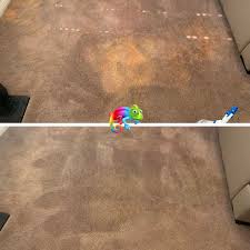 carpet bleach spot repairs leather
