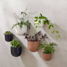 Ceramic Indoor Outdoor Wallscape Planters