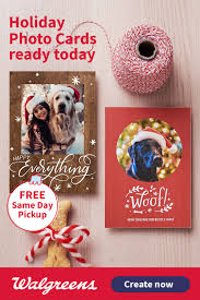 The flattened panel of rawhide is edible, and designed to be chewed by the dog. Holiday Photo Cards Holiday Card Collection Holiday Photo Cards Create Christmas Cards
