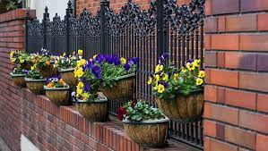 Fence Planters Hanging Plants