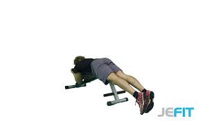 reverse hyper flat bench a strength