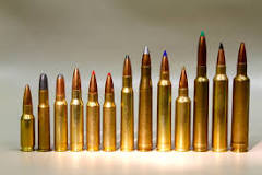 Image result for 300 WSM ammunition
