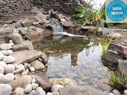 Aquascape Ecosystem Pond Build