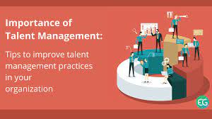 importance of talent management and it