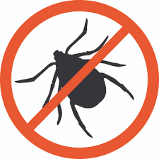 no fly zone insect repellent clothing