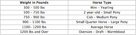 Horse Halter Size Chart Its Show Time