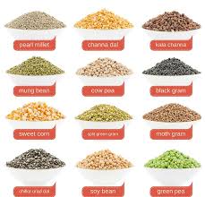 The Ultimate Guide To Indian Dal Photo Glossary Buttered Veg